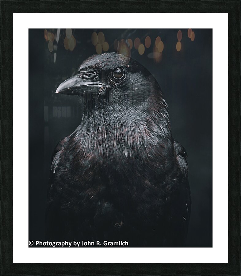 Hello Darkness my old Friend Picture Frame print