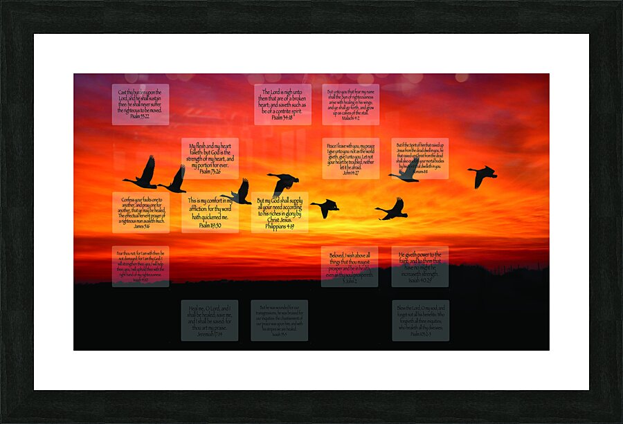 MNW5-GEESE Picture Frame print