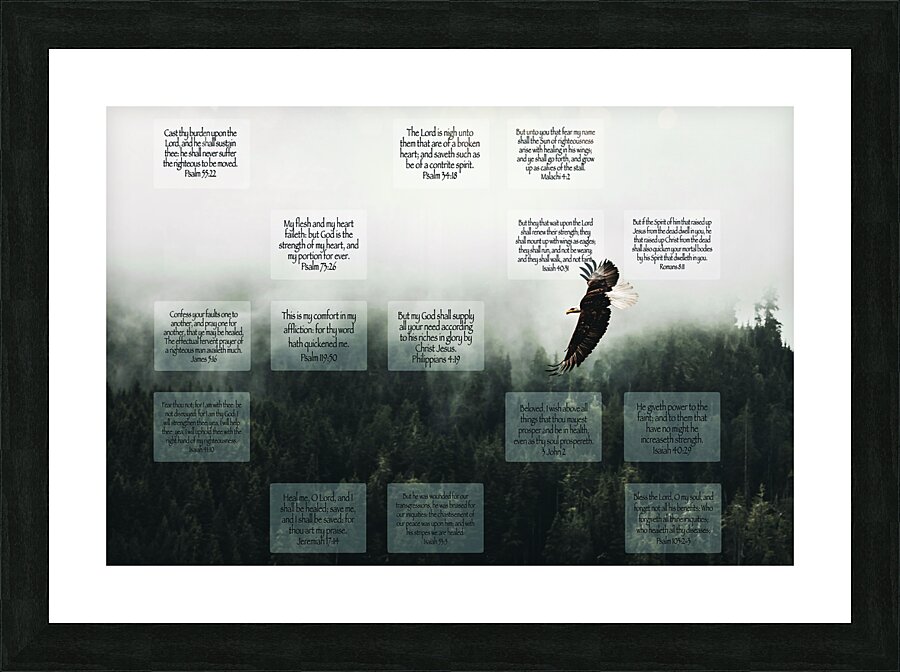 MNW8-EAGLE Picture Frame print