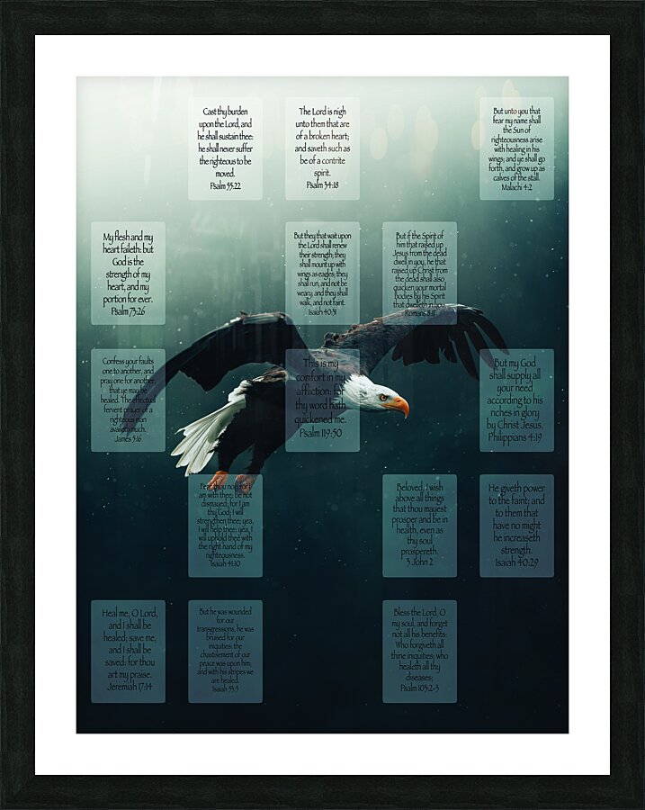 MNW10-EAGLE Picture Frame print