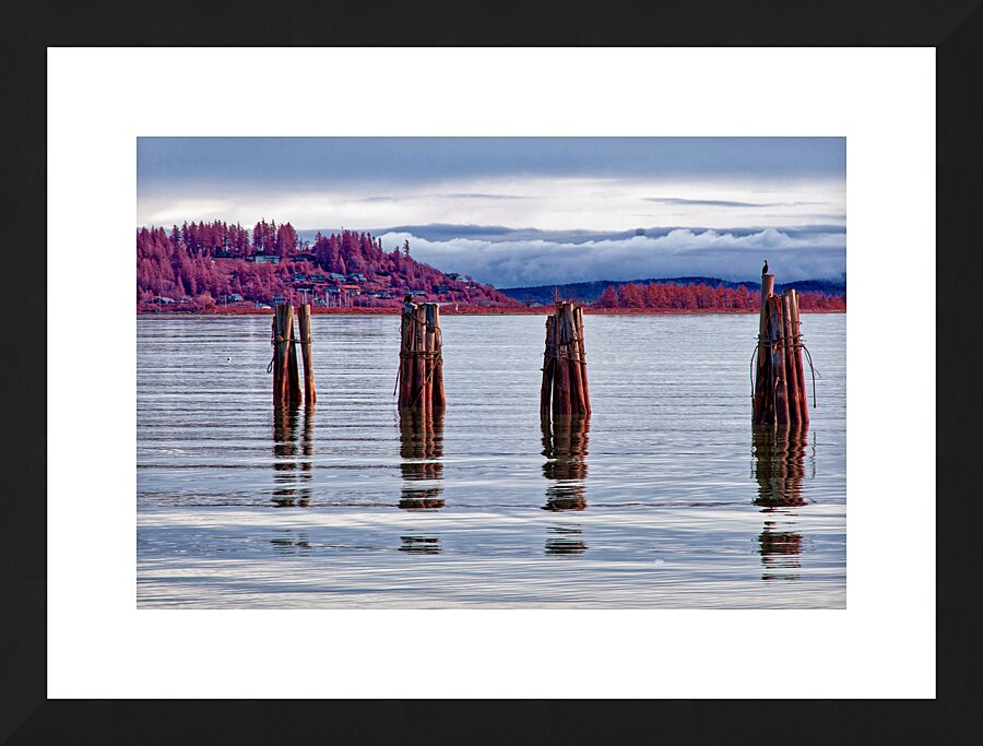 On Guard Picture Frame print