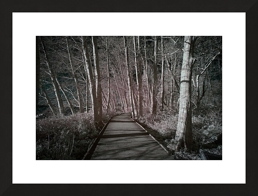 The Pathway Picture Frame print