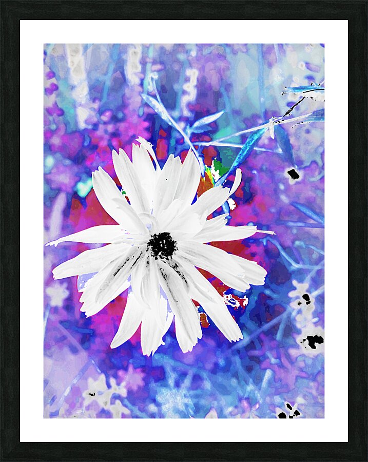 Abstract Surreal White Daisy Picture Frame print