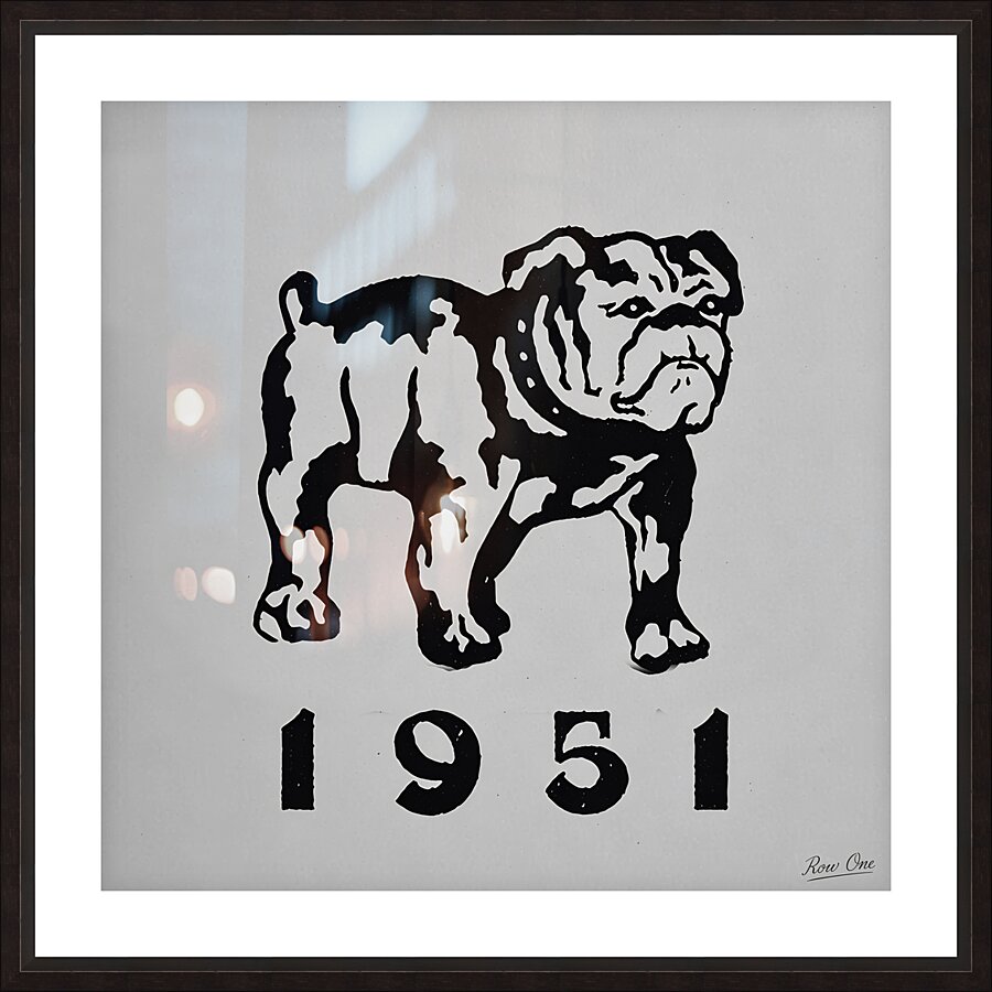 1951 Bulldog Art Picture Frame print