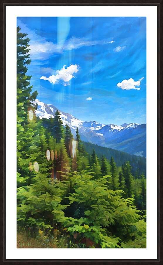 Sunny Summer Day in the Cascade Mountains Picture Frame print