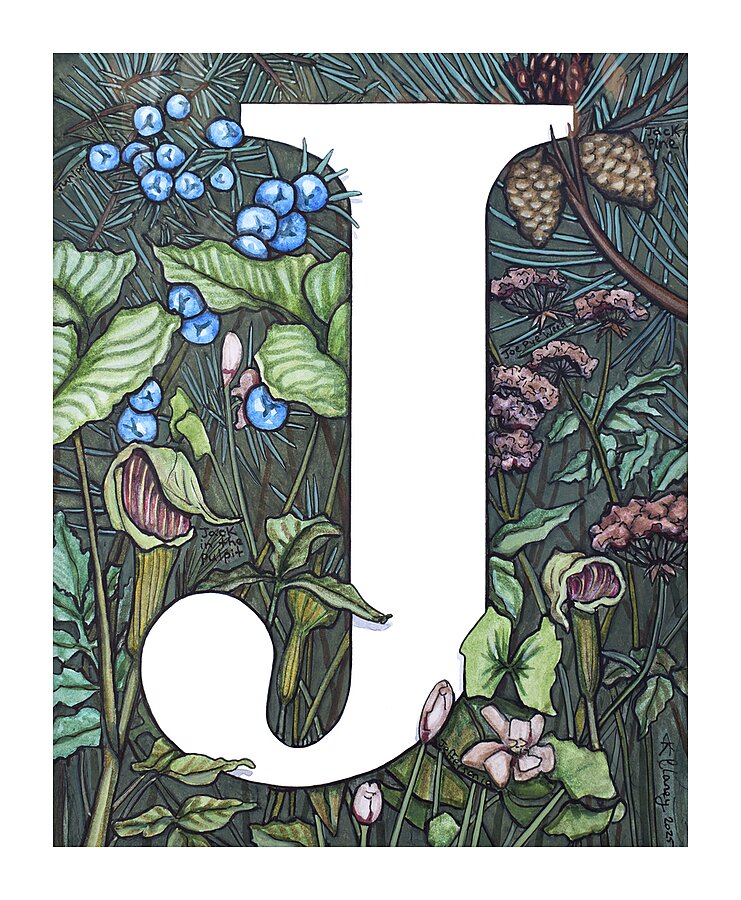 Version 2 Picture Frame print