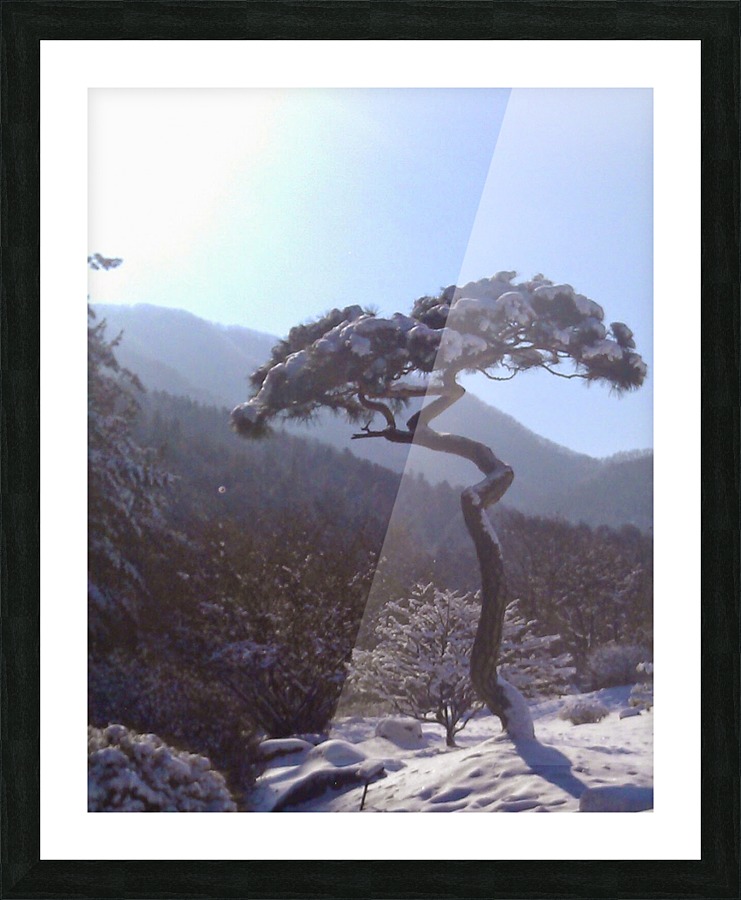  Fine Art print