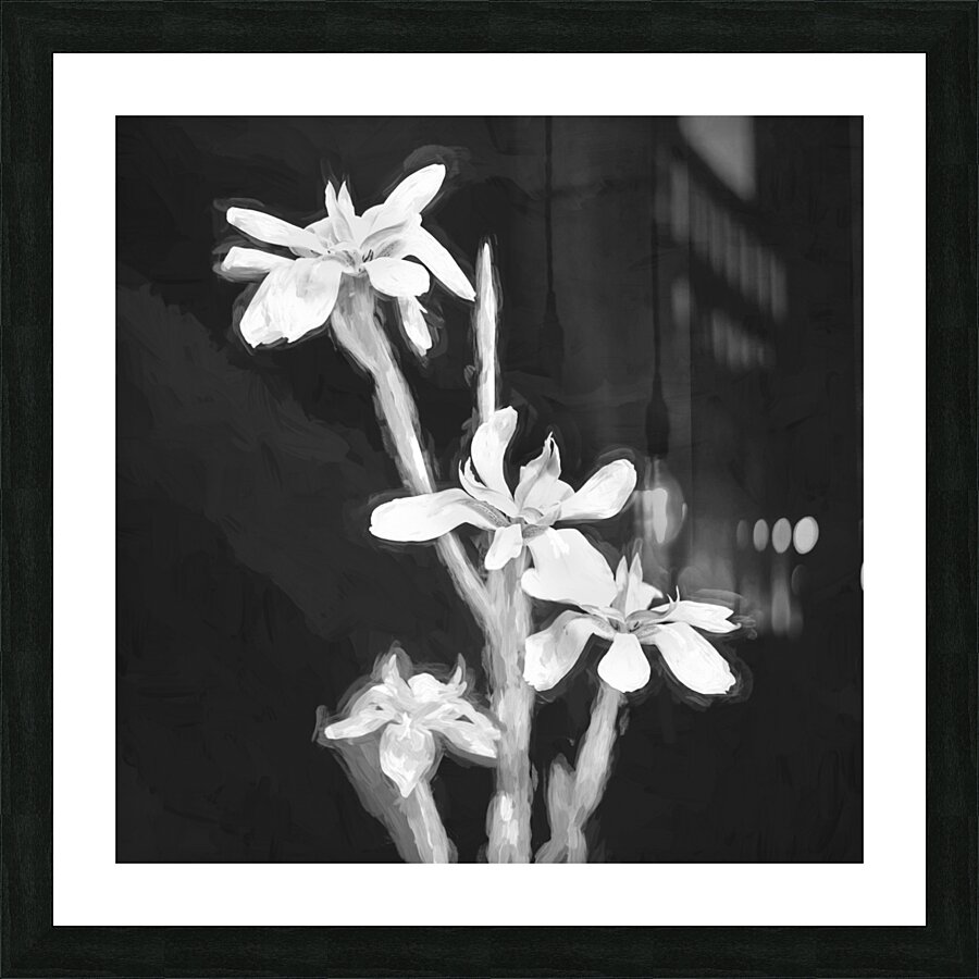 African Iris Morea Dietes X12 1 Picture Frame print