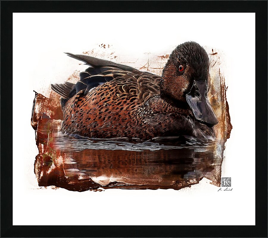 Cinnamon Teal Picture Frame print