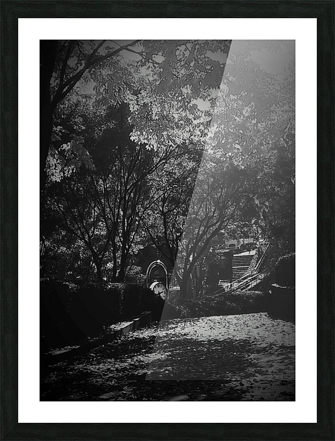  Fine Art print