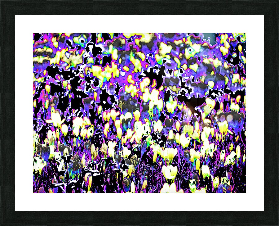 Abstract Crocus Dance                                                                                                 Picture Frame print