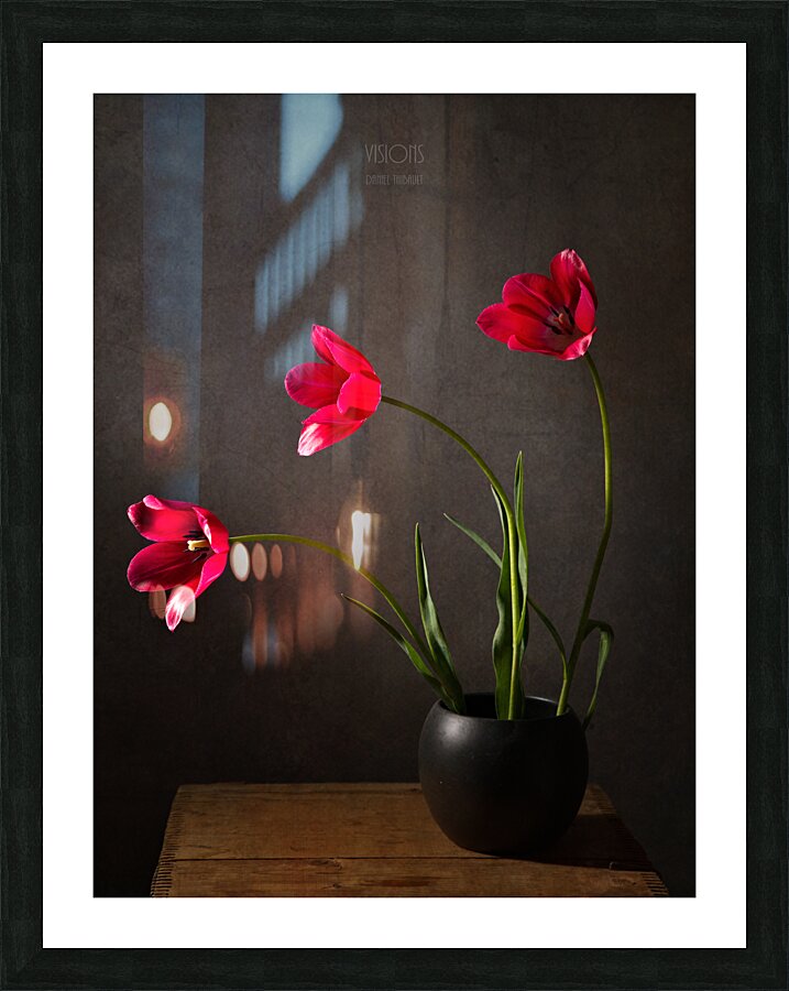 1Q8A7535 Picture Frame print