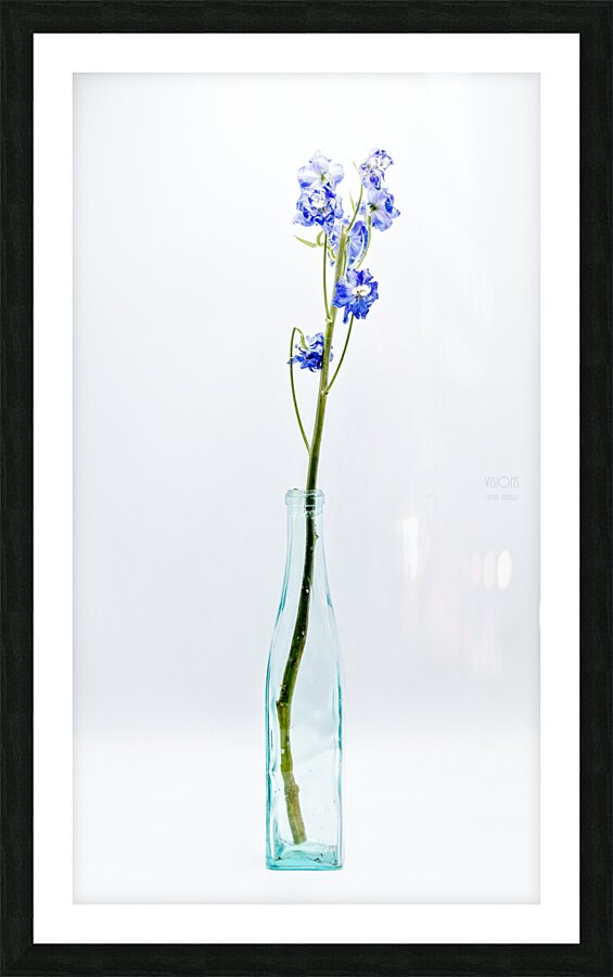 044A3502 Picture Frame print