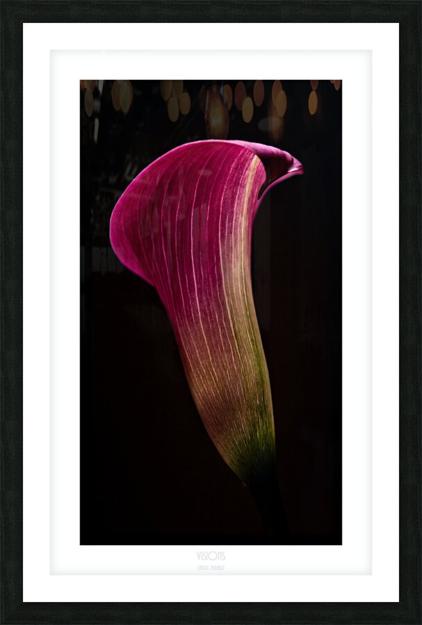 044A3576 Picture Frame print