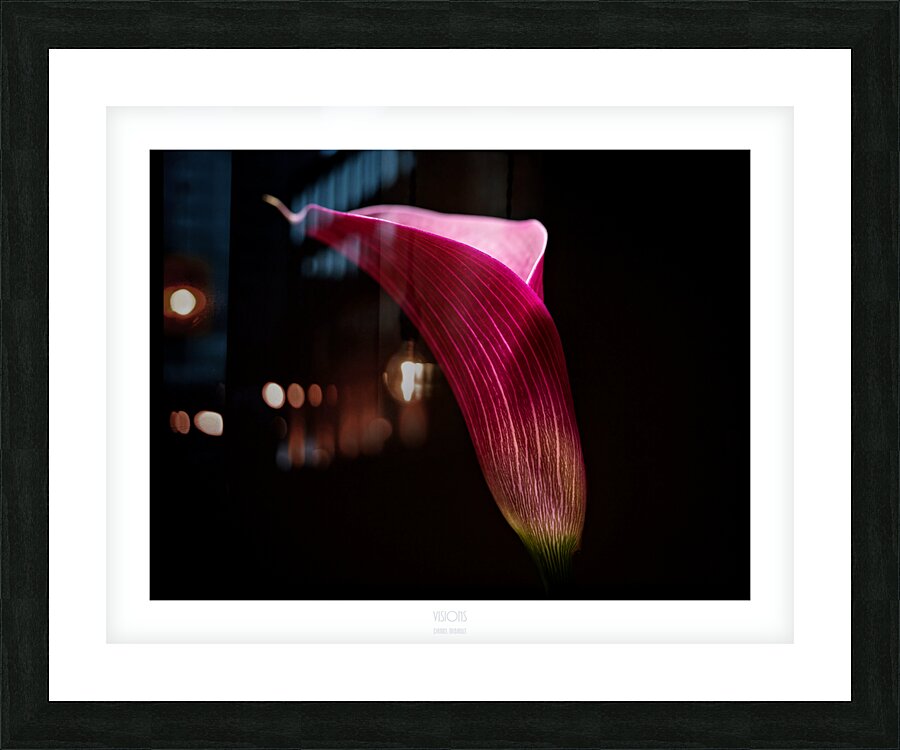 044A3572 Picture Frame print