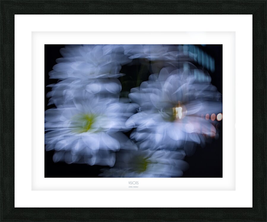 1Q8A1070 Picture Frame print