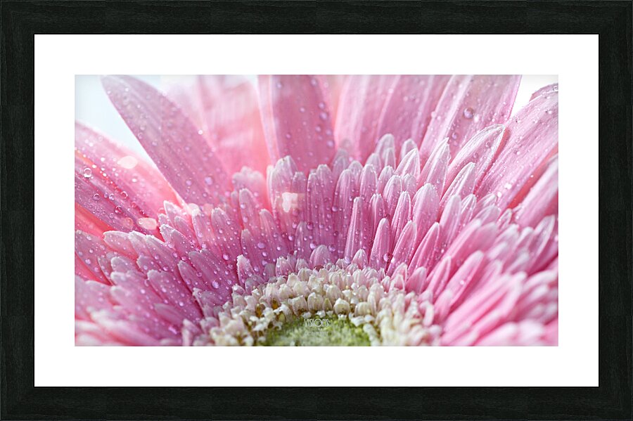 1Q8A7479 Picture Frame print