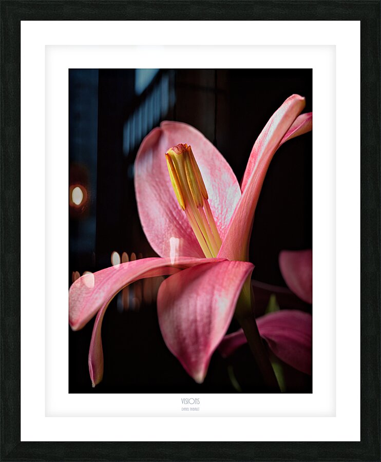 044A2841 Picture Frame print