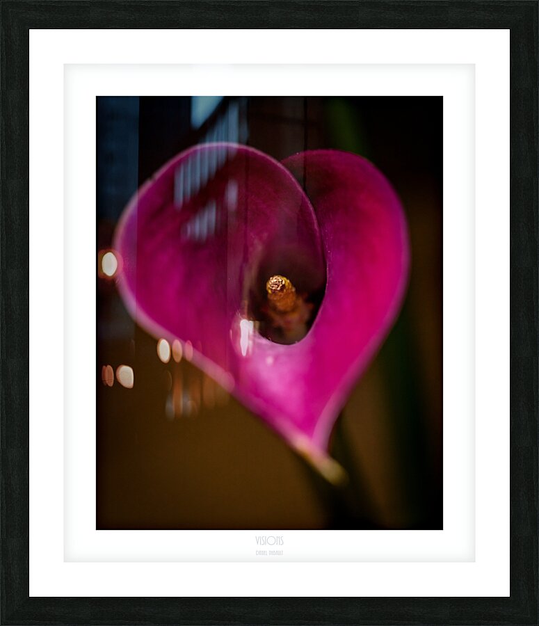 044A3611 Picture Frame print