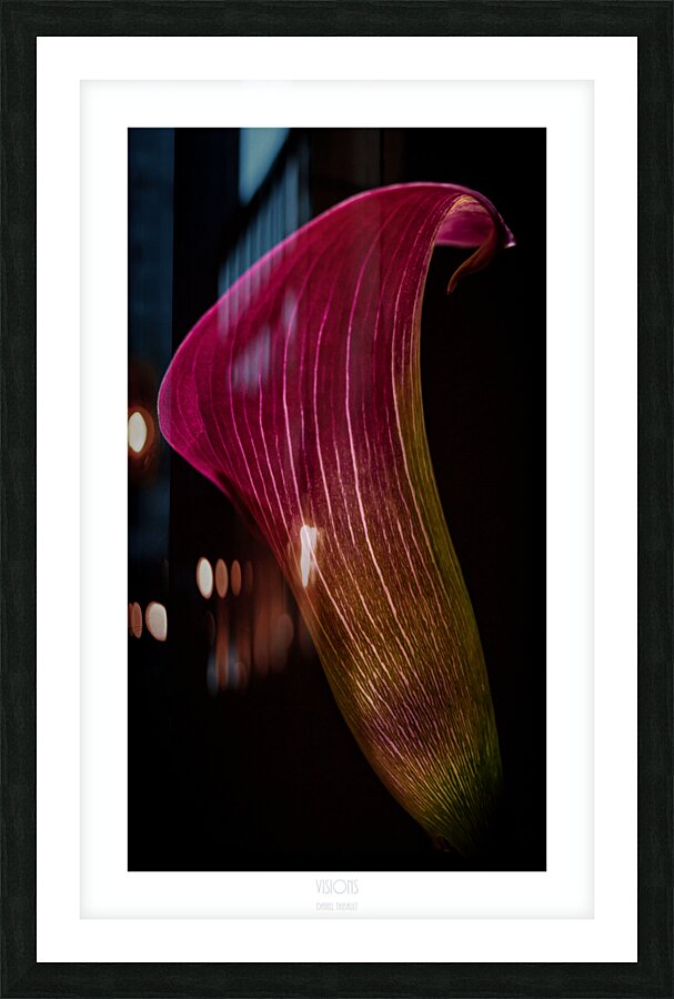 044A3646 Picture Frame print