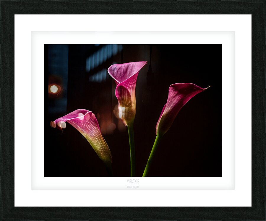 044A3661 Picture Frame print