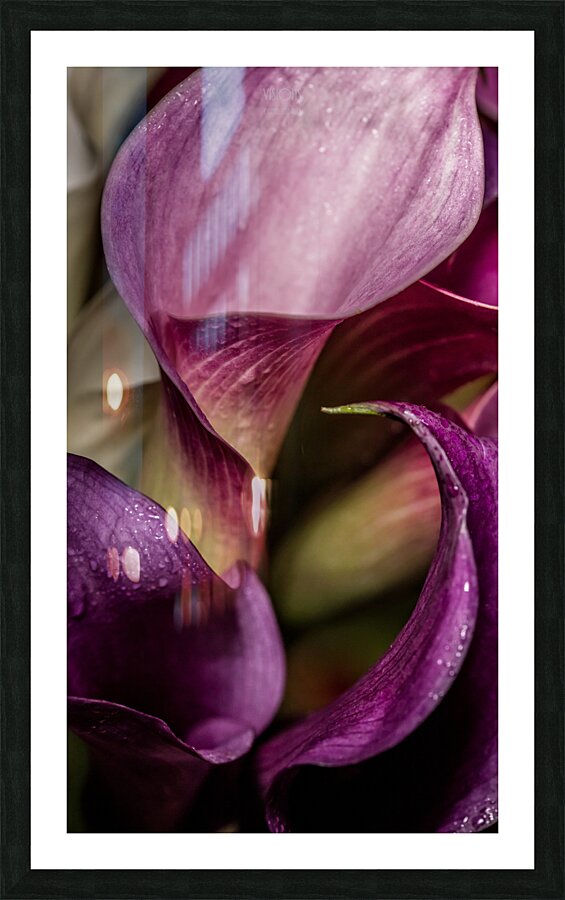 044A3800 Picture Frame print