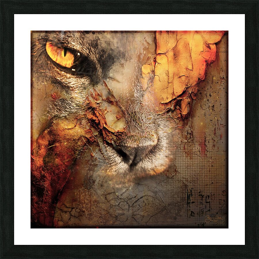 The Cat Knows Picture Frame print