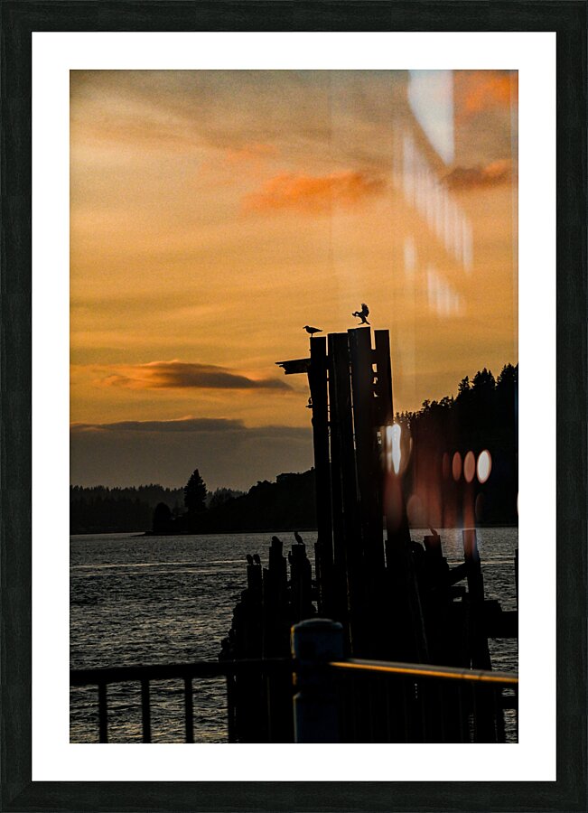 Z72 5951 Picture Frame print