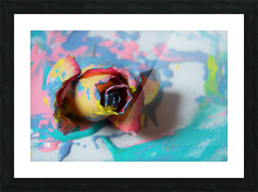  Fine Art print