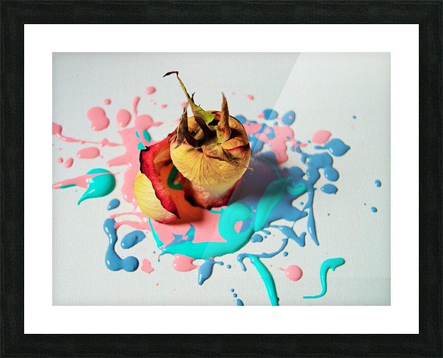  Fine Art print