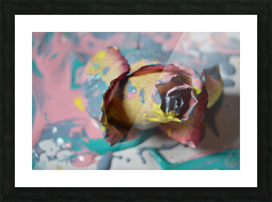  Fine Art print