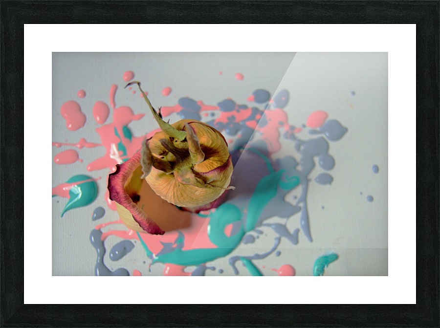 Fine Art print