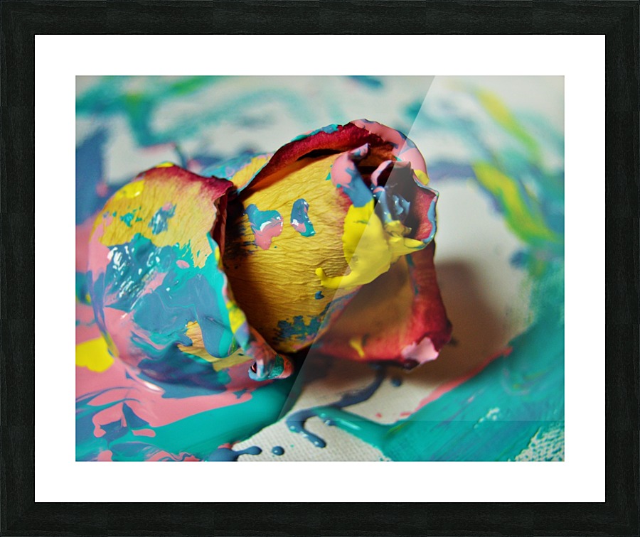  Fine Art print
