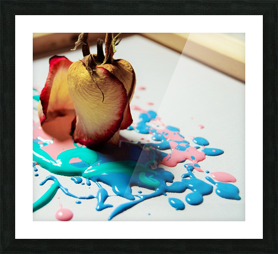  Fine Art print