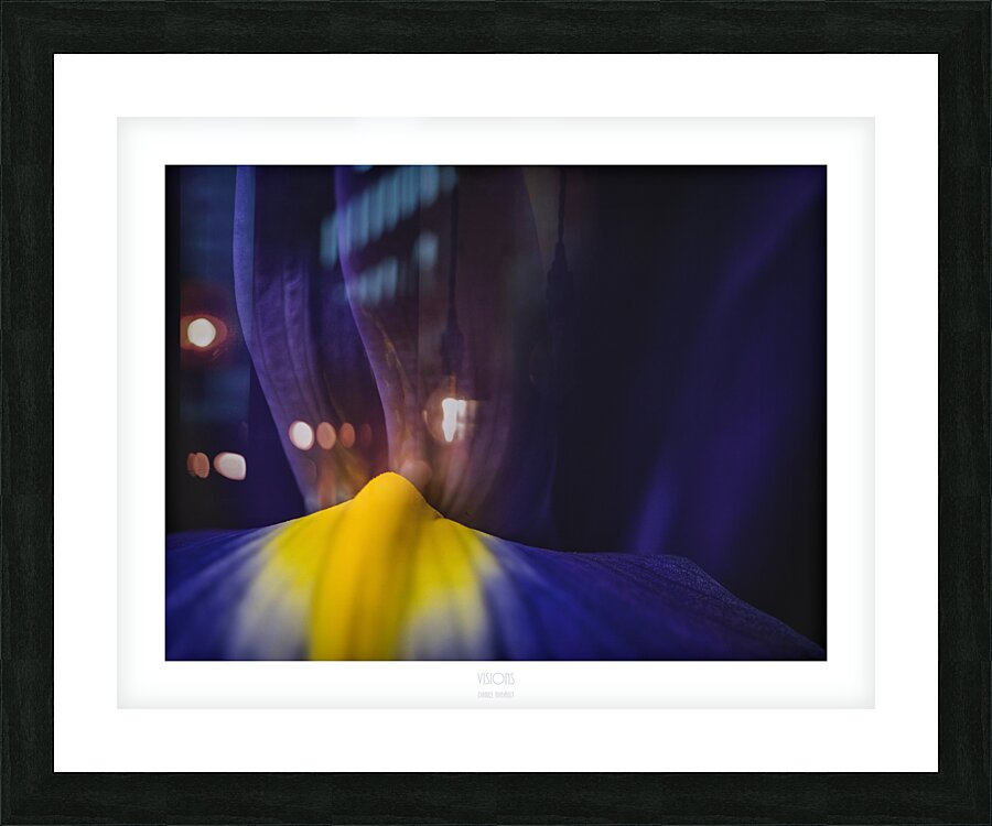 044A3857 Picture Frame print