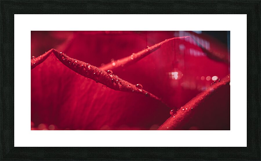 044A4073 Picture Frame print