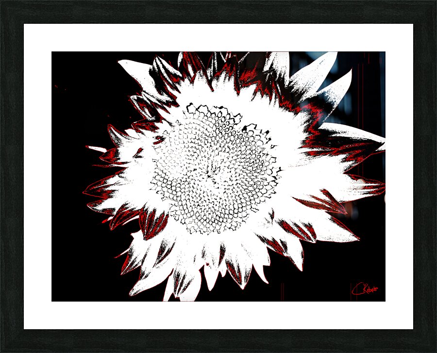 Abstract Contrasting Sunflower Picture Frame print