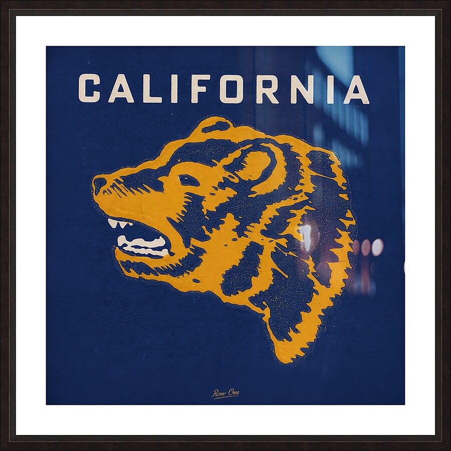 1951 Cal Bear Art Picture Frame print