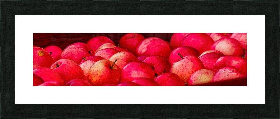 Cider Apples Picture Frame print