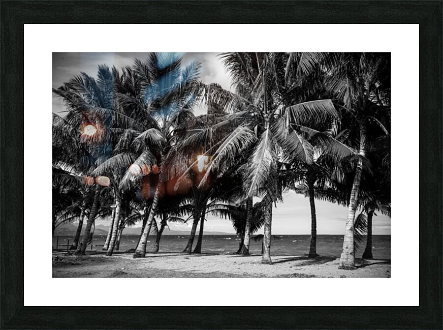 Whispers of Monochrome Palms Picture Frame print