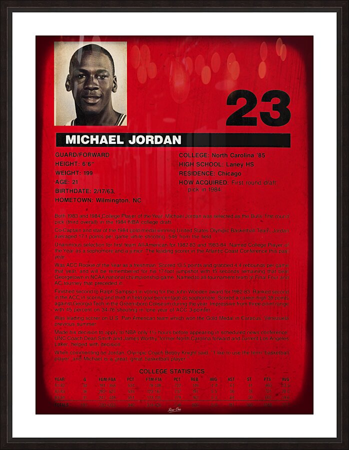 1984 Michael Jordan Rookie Bio Wall Art Picture Frame print