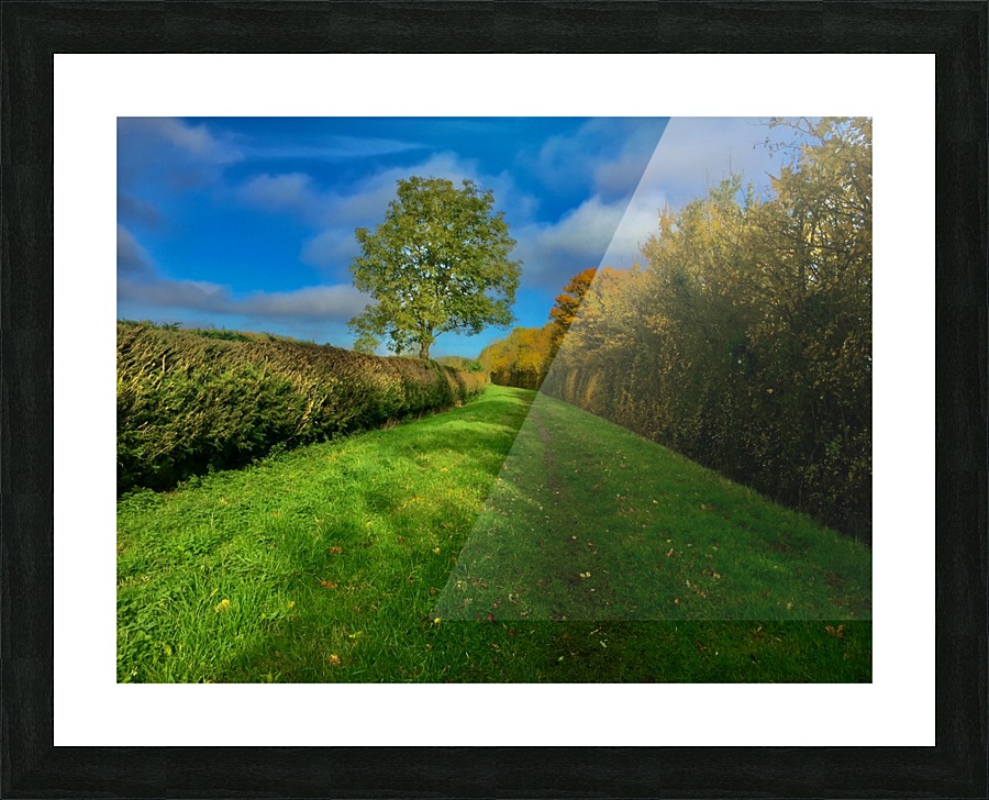 JPT 9810 Picture Frame print