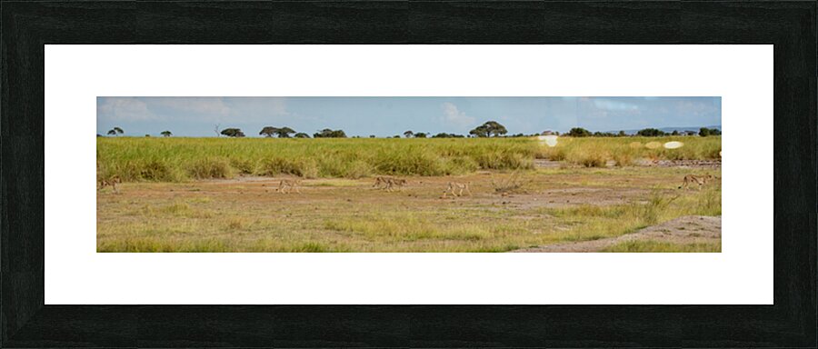 Cheetah Hunting Party Picture Frame print