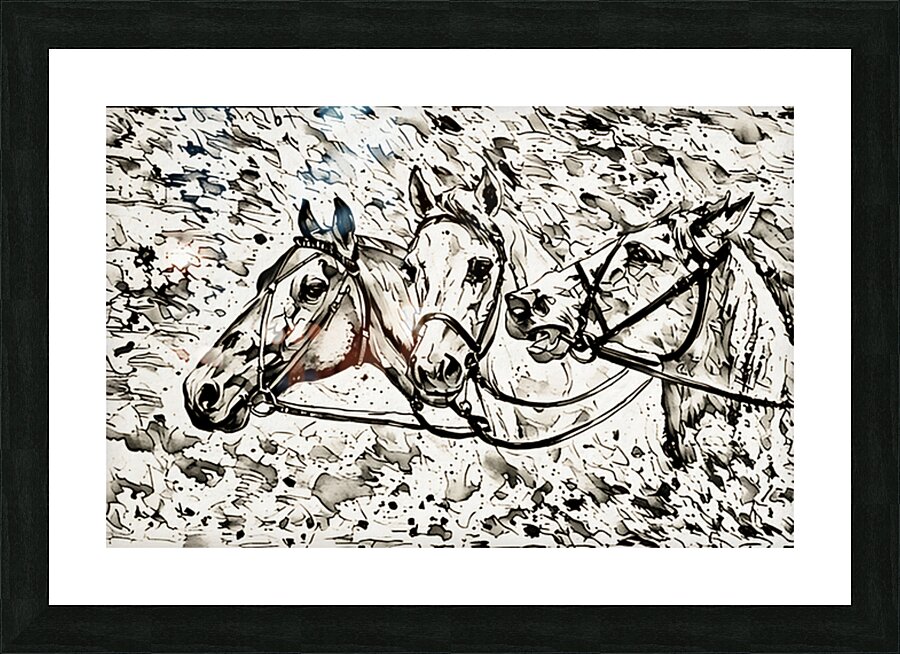  Fine Art print
