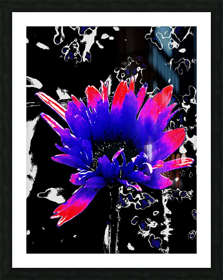 Abstract Darker Daisy Picture Frame print