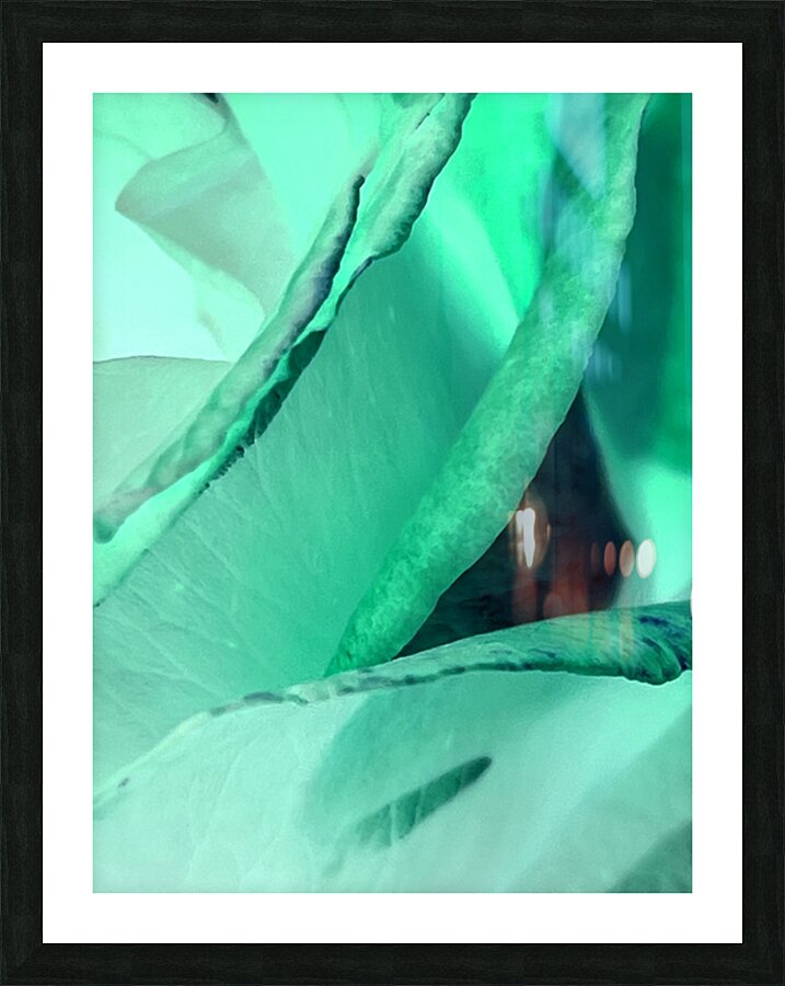 Abstract Calm Rose  Picture Frame print