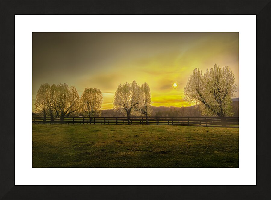 New Beginnings Picture Frame print