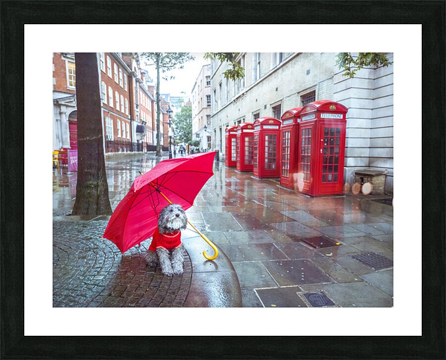  Fine Art print