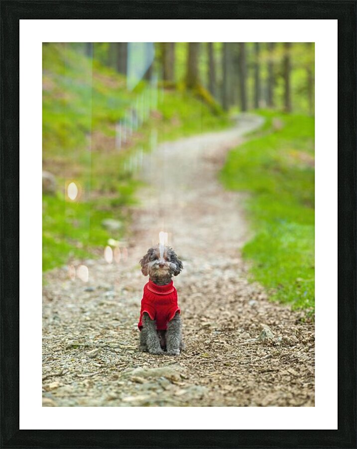  Fine Art print