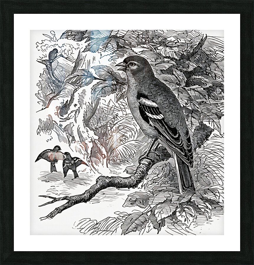  Fine Art print